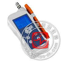 RSG－5500 烟道气氧分析仪